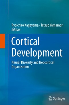 Cortical Development