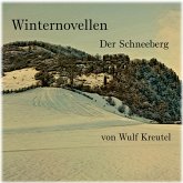 Winternovellen - Der Schneeberg (MP3-Download)