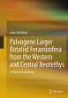 Paleogene larger rotaliid foraminifera... - Bild 1