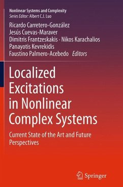 Localized Excitations in Nonlinear Complex Systems