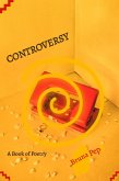 Controversy (eBook, ePUB)