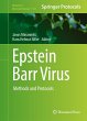 Epstein Barr Virus - Bild 1