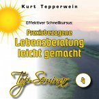 Effektiver Schnellkursus: Praxisbezogene Lebensberatung leicht gemacht (Top-Seminar - Teil 4) (MP3-Download)