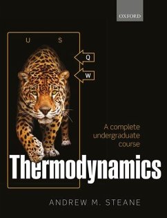 Thermodynamics: A Complete Undergraduate Course - Steane, Andrew M.