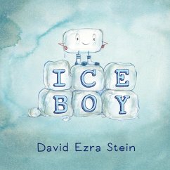 Ice Boy - Stein, David Ezra