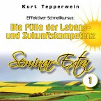 Effektiver Schnellkursus: Die Fülle der Lebens- Und Zukunftskompetenz (Seminar-Extra - Teil 1) (MP3-Download)