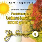 Effektiver Schnellkursus: Praxisbezogene Lebensberatung leicht gemacht (Top-Seminar - Teil 5) (MP3-Download)