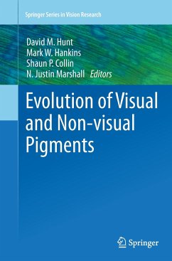 Evolution of Visual and Non-visual Pigments