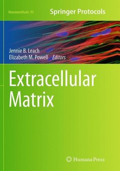 Extracellular Matrix