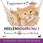 Seelennahrung 1: Texte zur Besinnung und Einkehr (Tepperwein and Friends) (MP3-Download)