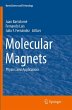 Molecular Magnets - Bild 1