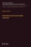 International Environmental ¿soft law¿