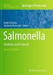 Salmonella - Bild 1