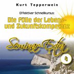 Effektiver Schnellkursus: Die Fülle der Lebens- Und Zukunftskompetenz (Seminar-Extrateil 4) (MP3-Download)
