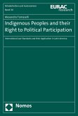 Indigenous Peoples and their Right to Political Participation (eBook, PDF)