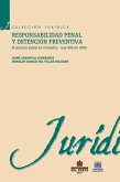 Responsabilidad penal y detención preventiva (eBook, ePUB)