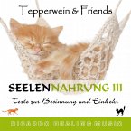 Seelennahrung 3: Texte zur Besinnung und Einkehr (Tepperwein and Friends) (MP3-Download)