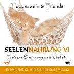 Seelennahrung 6: Texte zur Besinnung und Einkehr (Tepperwein and Friends) (MP3-Download)