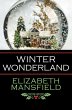 Winter Wonderland (eBook, ePUB) - Bild 1