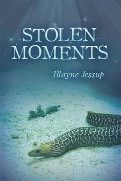 Cover Stolen Moments (eBook, ePUB)