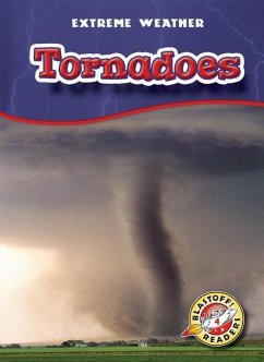 Tornadoes - Wendorff, Anne