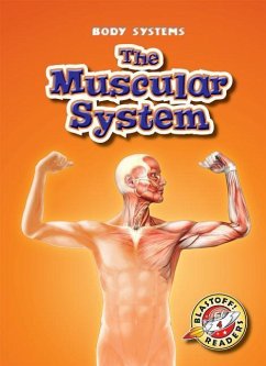 The Muscular System - Manolis, Kay