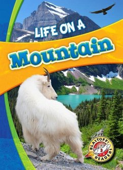 Life on a Mountain - Waxman, Laura Hamilton