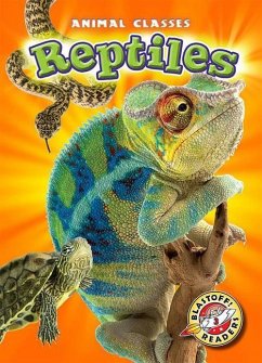 Reptiles - Schuetz, Kari