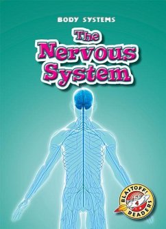 The Nervous System - Manolis, Kay