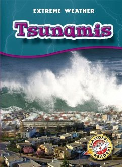 Tsunamis - Wendorff, Anne