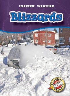 Blizzards - Manolis, Kay