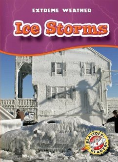 Ice Storms - Wendorff, Anne