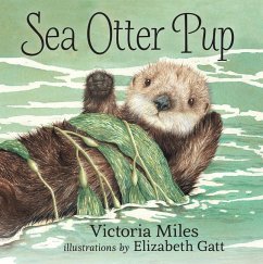 Sea Otter Pup - Miles, Victoria