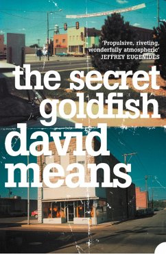 The Secret Goldfish (eBook, ePUB) - Means, David