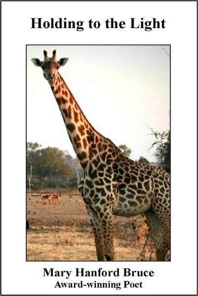 Holding to the Light (eBook, ePUB) Holding to the Light (eBook, ePUB)