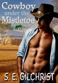 Cowboy under the Mistletoe (eBook, ePUB)