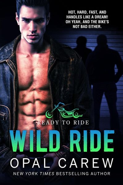 Wild Ride (eBook, ePUB)