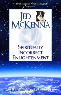 Spiritually Incorrect Enlightenment MMX (eBook, ePUB) - Mckenna, Jed