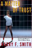 Matter OF Trust (eBook, ePUB)