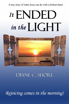 It Ended in the Light (eBook, ePUB) - Shore, Diane C.