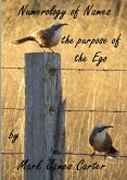 Numerology of Names: the Purpose of the Ego (eBook, ePUB)