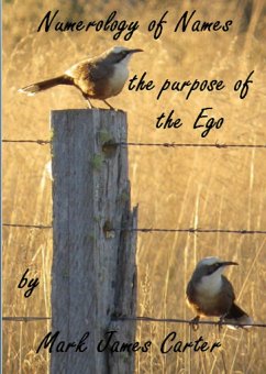 Cover Numerology of Names: the Purpose of the Ego (eBook, ePUB)