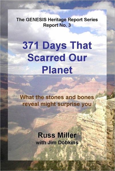 371 Days That Scarred Our Planet (eBook, ePUB) 371 Days That Scarred Our Planet (eBook, ePUB)