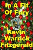 In A Fit Of Fury (eBook, ePUB)
