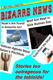 Bizarre News (eBook, ePUB)