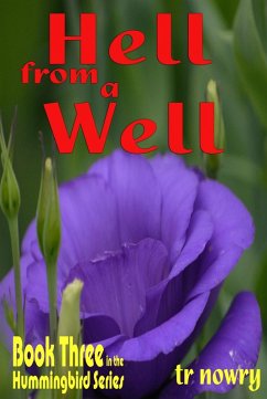 Cover Hell from a Well (eBook, ePUB)