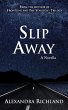Slip Away: A Novella (eBook, ePUB) - Bild 1