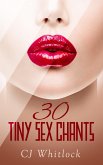 30 Tiny Sex Chants (eBook, ePUB)