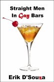 Straight Men in Gay Bars (eBook, ePUB)