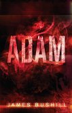 Adam (eBook, ePUB)